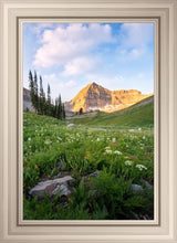 Load image into Gallery viewer, Timpanogos Meadow
