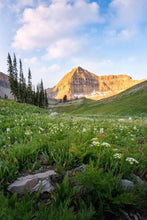 Load image into Gallery viewer, Timpanogos Meadow
