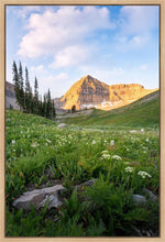 Load image into Gallery viewer, Timpanogos Meadow
