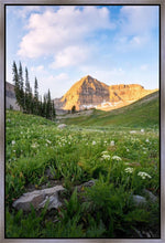 Load image into Gallery viewer, Timpanogos Meadow
