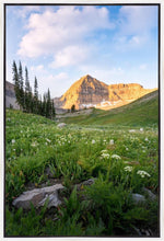 Load image into Gallery viewer, Timpanogos Meadow
