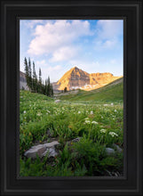 Load image into Gallery viewer, Timpanogos Meadow
