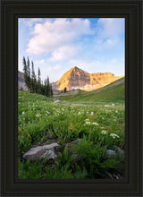 Load image into Gallery viewer, Timpanogos Meadow

