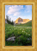 Load image into Gallery viewer, Timpanogos Meadow
