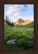 Load image into Gallery viewer, Timpanogos Meadow
