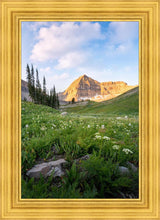 Load image into Gallery viewer, Timpanogos Meadow

