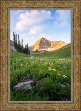 Load image into Gallery viewer, Timpanogos Meadow
