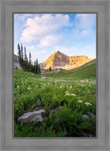 Load image into Gallery viewer, Timpanogos Meadow
