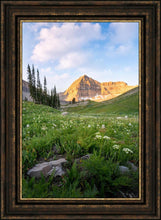 Load image into Gallery viewer, Timpanogos Meadow
