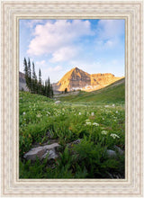 Load image into Gallery viewer, Timpanogos Meadow
