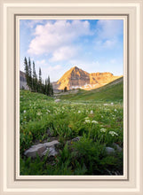 Load image into Gallery viewer, Timpanogos Meadow
