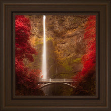 Load image into Gallery viewer, Multnomah Falls
