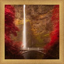 Load image into Gallery viewer, Multnomah Falls
