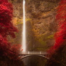 Load image into Gallery viewer, Multnomah Falls
