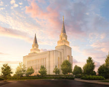 Load image into Gallery viewer, Kansas City Brightly Beams
