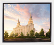 Load image into Gallery viewer, Kansas City Brightly Beams
