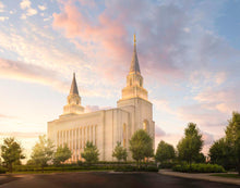 Load image into Gallery viewer, Kansas City Brightly Beams
