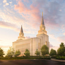 Load image into Gallery viewer, Kansas City Brightly Beams
