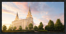 Load image into Gallery viewer, Kansas City Brightly Beams
