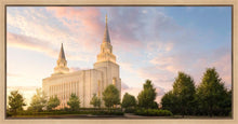 Load image into Gallery viewer, Kansas City Brightly Beams
