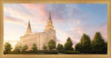 Load image into Gallery viewer, Kansas City Brightly Beams
