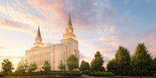 Load image into Gallery viewer, Kansas City Brightly Beams
