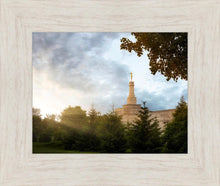 Load image into Gallery viewer, Columbus Sunburst
