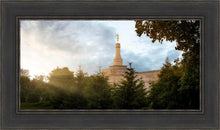 Load image into Gallery viewer, Columbus Sunburst
