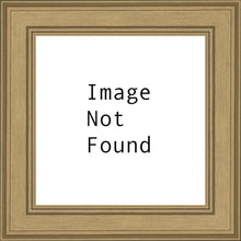 Load image into Gallery viewer, Columbus Sunburst Daybreak

