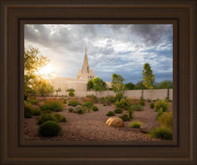Load image into Gallery viewer, Phoenix Sun

