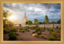 Load image into Gallery viewer, Phoenix Sun
