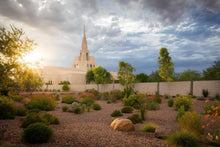 Load image into Gallery viewer, Phoenix Sun

