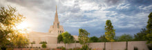 Load image into Gallery viewer, Phoenix Sun
