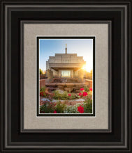 Load image into Gallery viewer, Snowflake Sunburst
