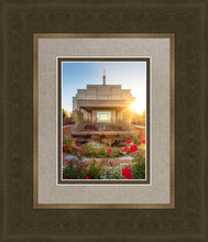 Load image into Gallery viewer, Snowflake Sunburst

