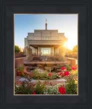 Load image into Gallery viewer, Snowflake Sunburst
