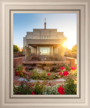 Load image into Gallery viewer, Snowflake Sunburst
