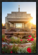 Load image into Gallery viewer, Snowflake Sunburst
