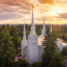 Load image into Gallery viewer, Portland from on High
