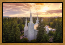 Load image into Gallery viewer, Portland from on High
