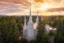 Load image into Gallery viewer, Portland from on High
