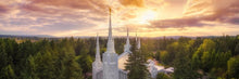 Load image into Gallery viewer, Portland from on High
