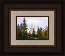 Load image into Gallery viewer, Portland Temple Forest Through The Trees
