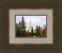 Load image into Gallery viewer, Portland Temple Forest Through The Trees
