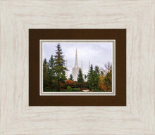 Load image into Gallery viewer, Portland Temple Forest Through The Trees
