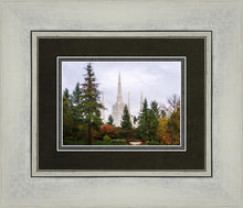 Load image into Gallery viewer, Portland Temple Forest Through The Trees
