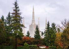 Load image into Gallery viewer, Portland Temple Forest Through The Trees
