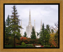 Load image into Gallery viewer, Portland Temple Forest Through The Trees
