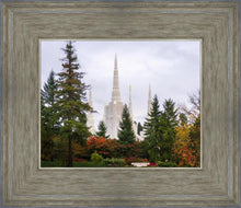 Load image into Gallery viewer, Portland Temple Forest Through The Trees

