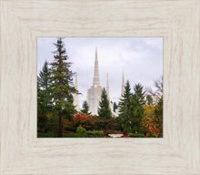 Load image into Gallery viewer, Portland Temple Forest Through The Trees

